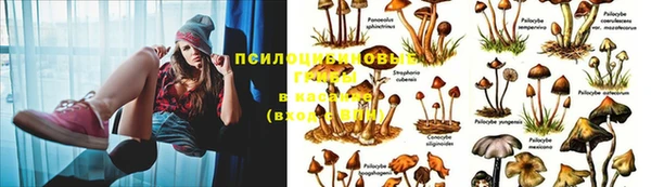 МДМА Балабаново