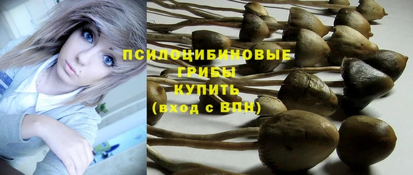 экстази Краснослободск
