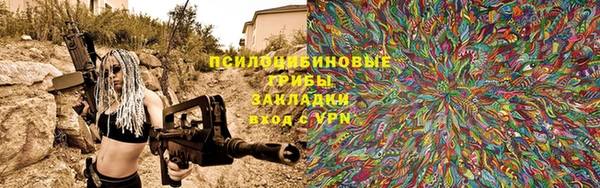 ГАЛЛЮЦИНОГЕННЫЕ ГРИБЫ Баксан