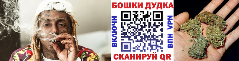 купить наркотики сайты  Сегежа  блэк спрут зеркало  Канабис гибрид 